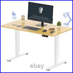 43/55/63 Home Office Electric Standing Desk Height Adjustable Computer Desk